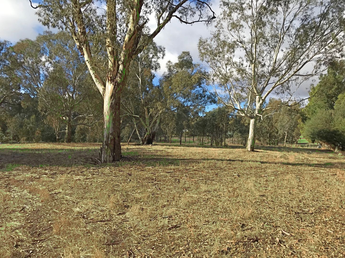 Lot Lot/111 & 112 Phoenix Street, Armagh SA 5453, Image 2