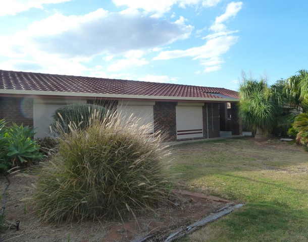 7 Dyer Court, Renmark SA 5341