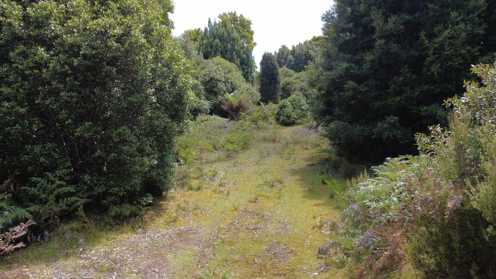 Additional image 9 of PID: 2297215 / Waratah Road, Waratah TAS 7321