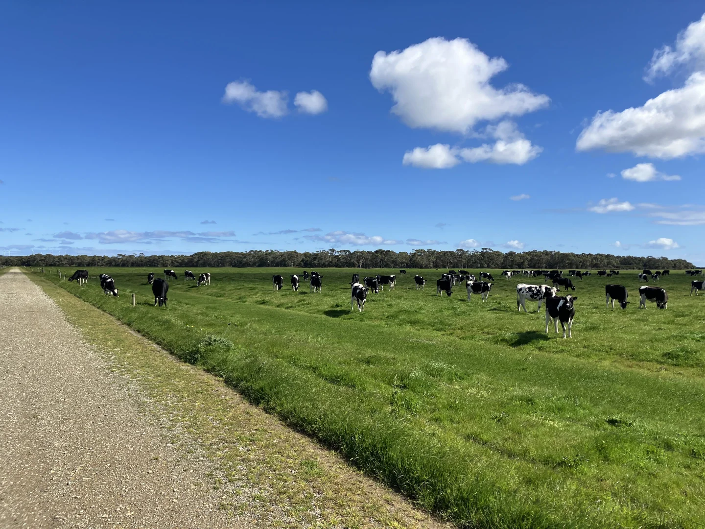 Additional image 20 of 10/648 West Montagu Road, Woolnorth TAS 7330