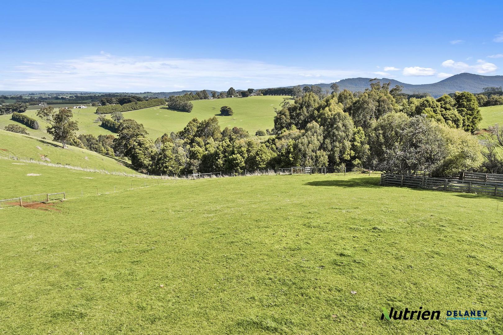 57 Hamono Road, Neerim VIC 3831 House for Sale 975,000 Domain