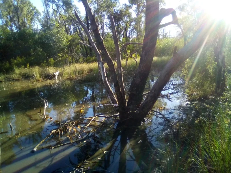 Image 7