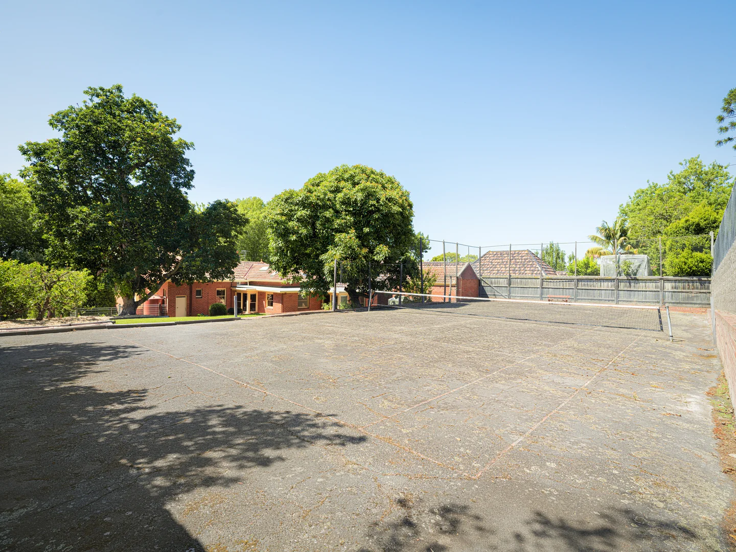 Image 14