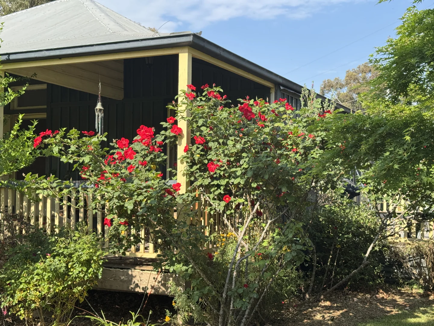 Image 6