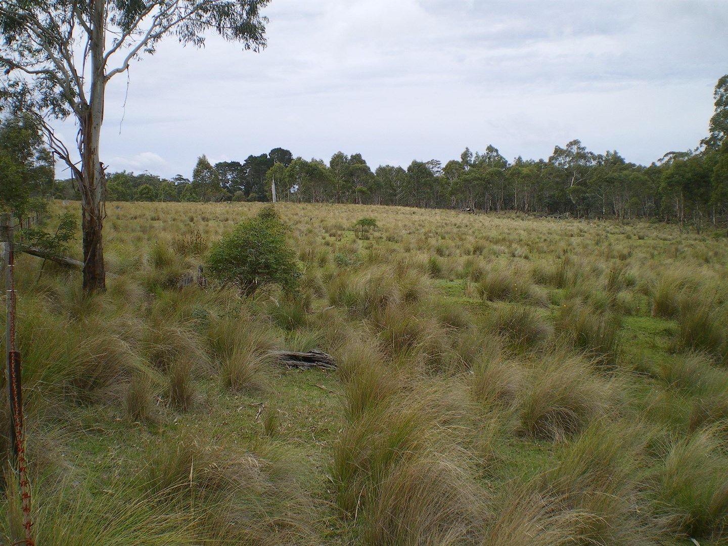 Lot 98 Badja Road, Countegany NSW 2630, Image 0