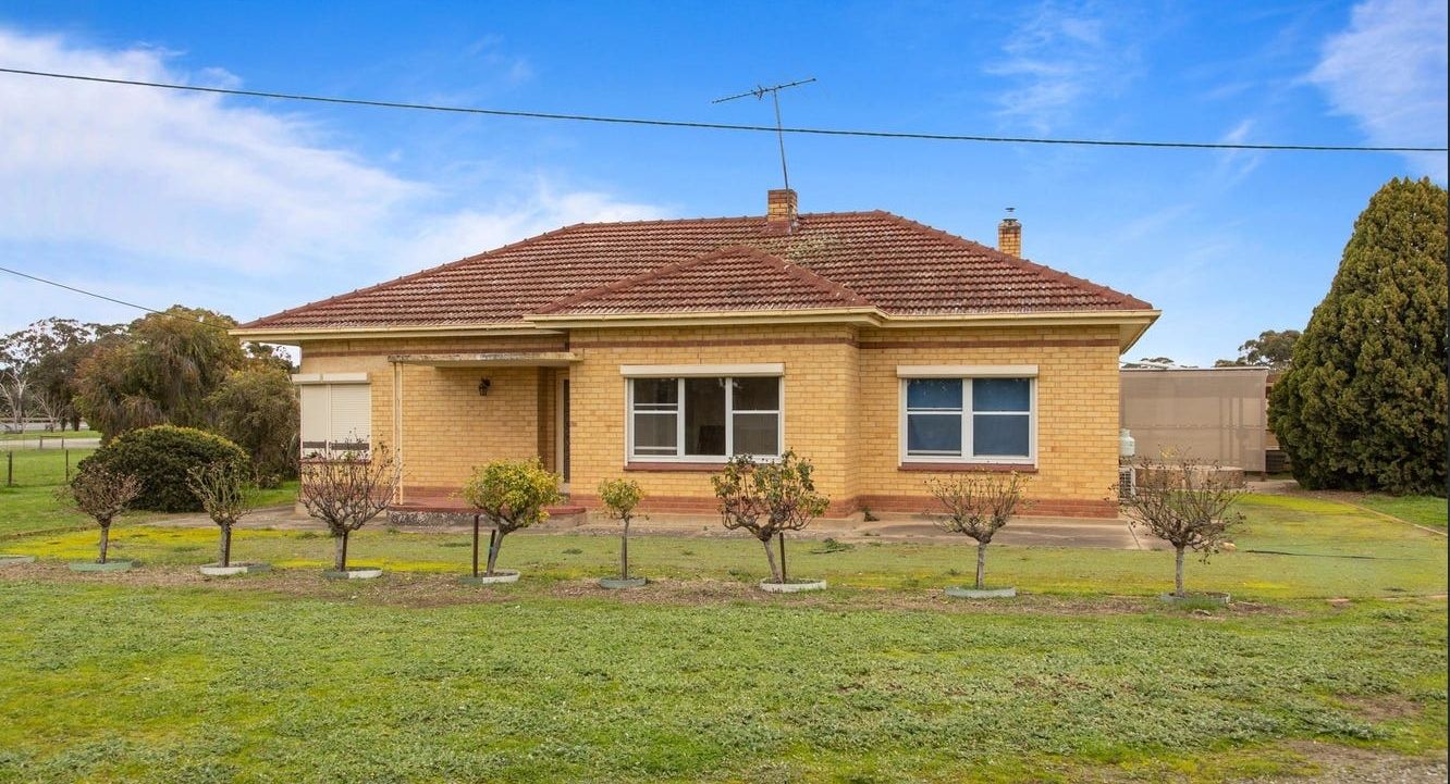 2625 Sturt Highway, Nuriootpa SA 5355 House for Rent Domain