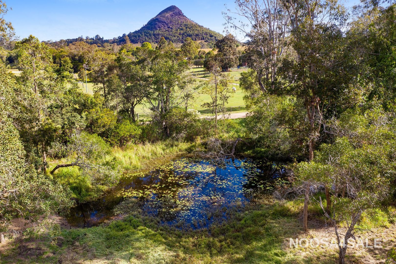 20 Mahers Road, Cooran QLD 4569, Image 2