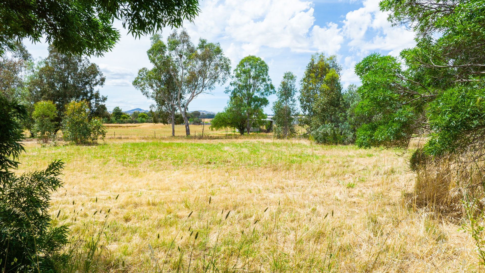 1 Third Avenue, Henty NSW 2658, Image 1