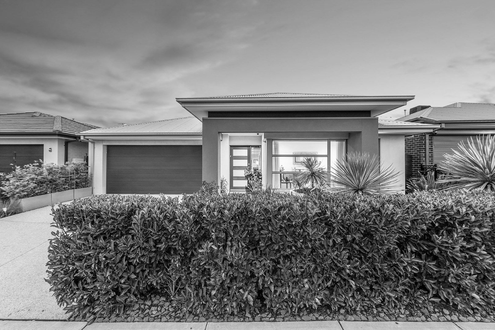 7 Lipizzan Way, Clyde North VIC 3978, Image 0