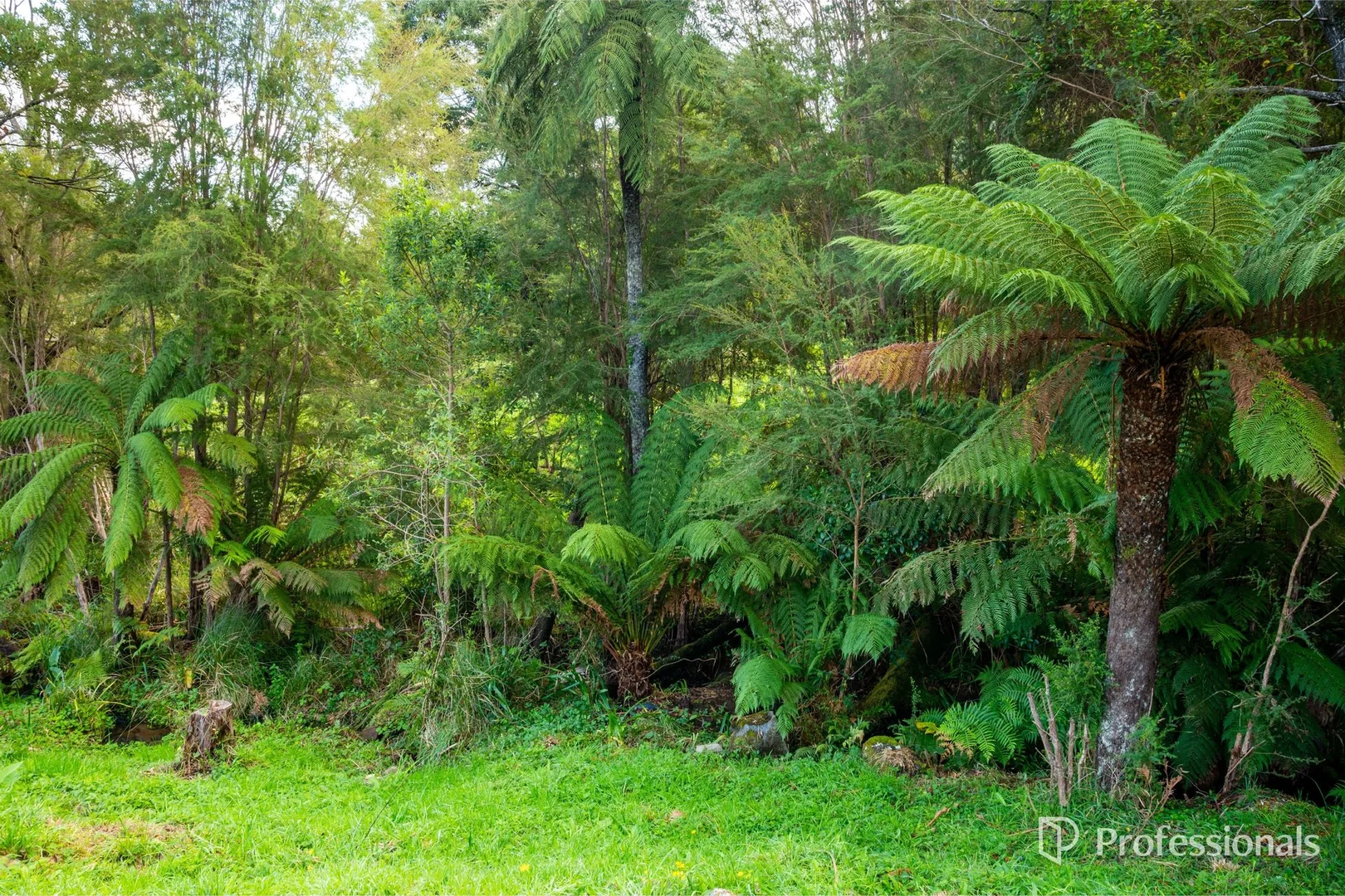 Image 9