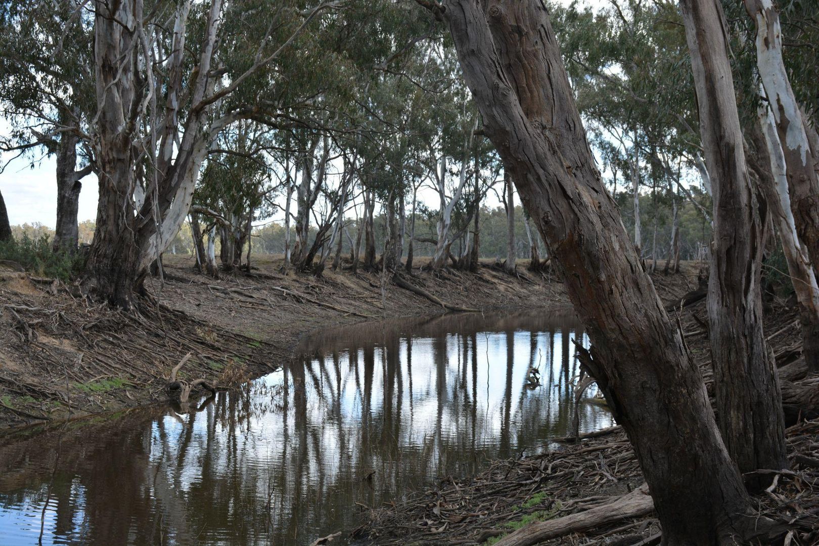 . Haynes Road St, Bearii VIC 3641, Image 1