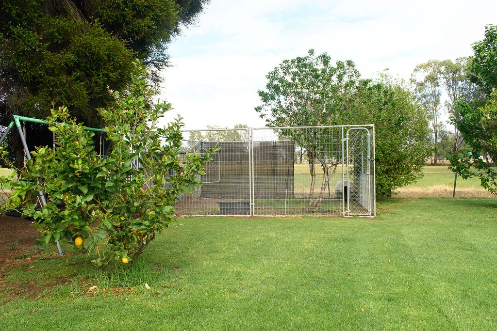Image 27