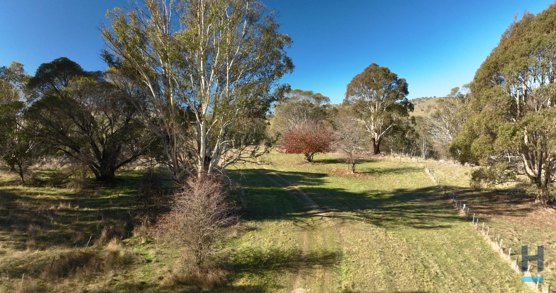 Image 31