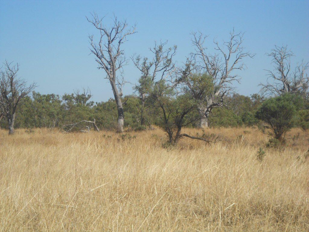 Lot 176 Muster Drive, Napperby SA 5540, Image 1