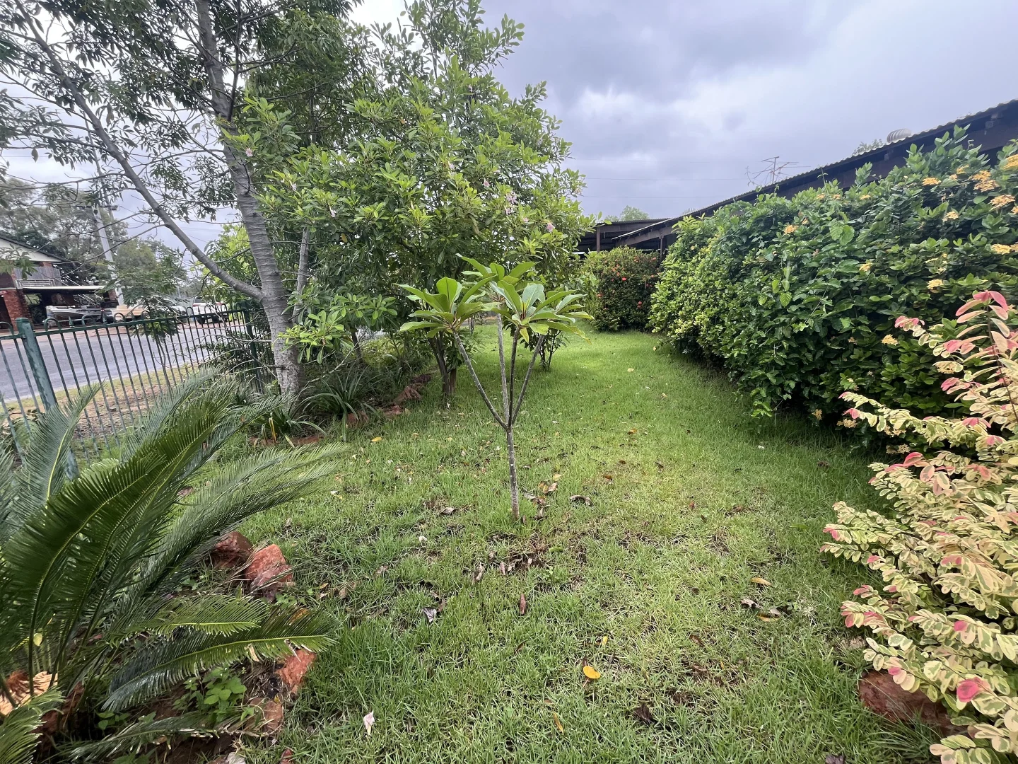 Image 20