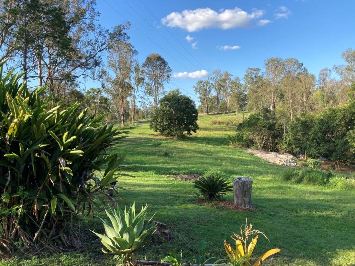 341 Mcintosh Creek Road, Jones Hill Property History & Address