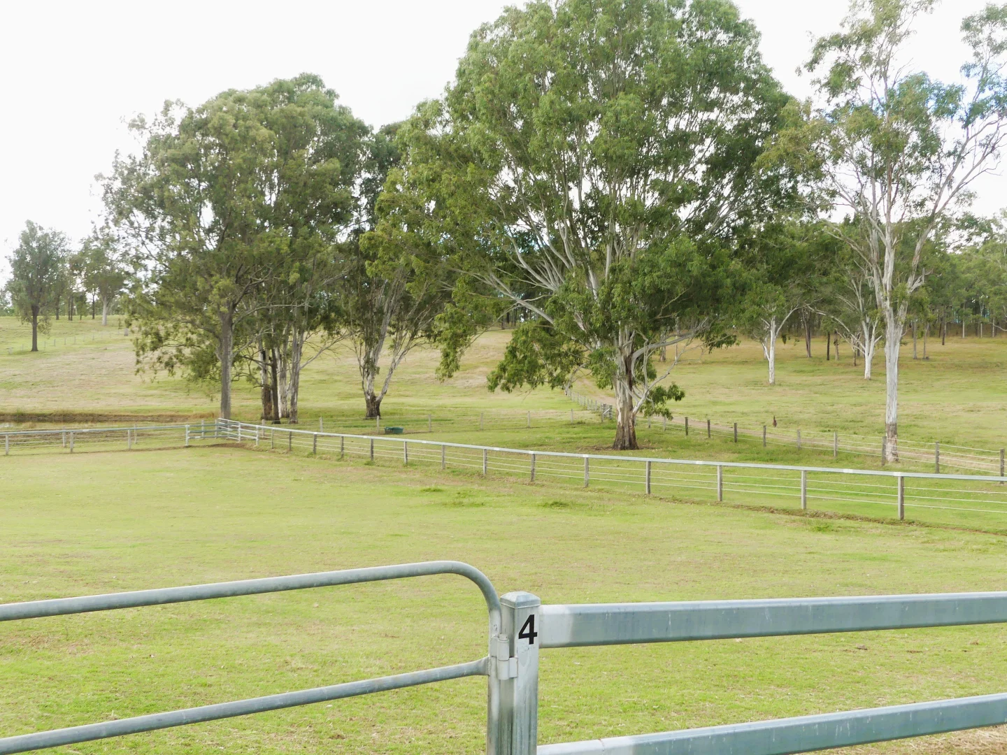 Image 32