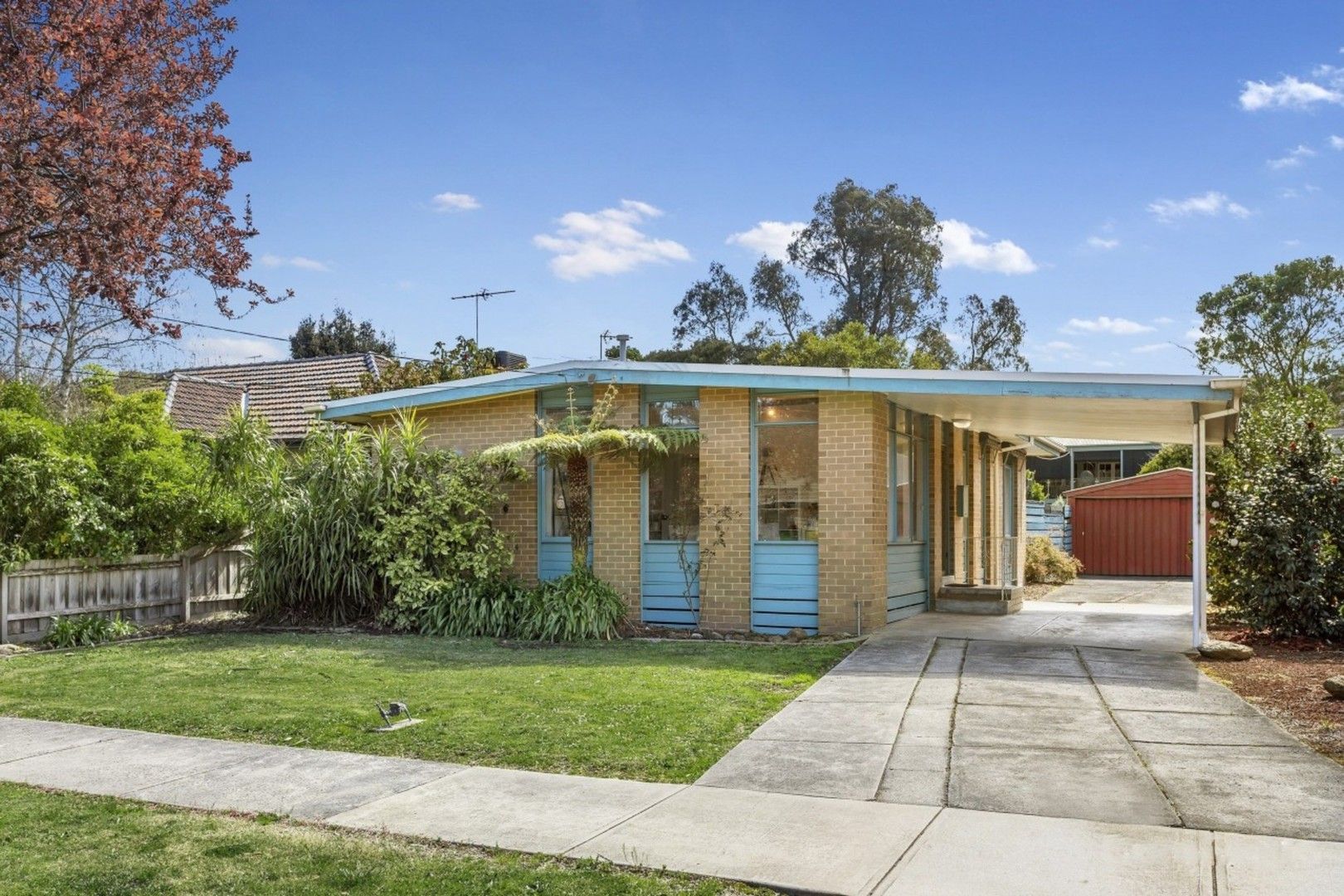 5 Halsey Street, Box Hill South VIC 3128, Image 1