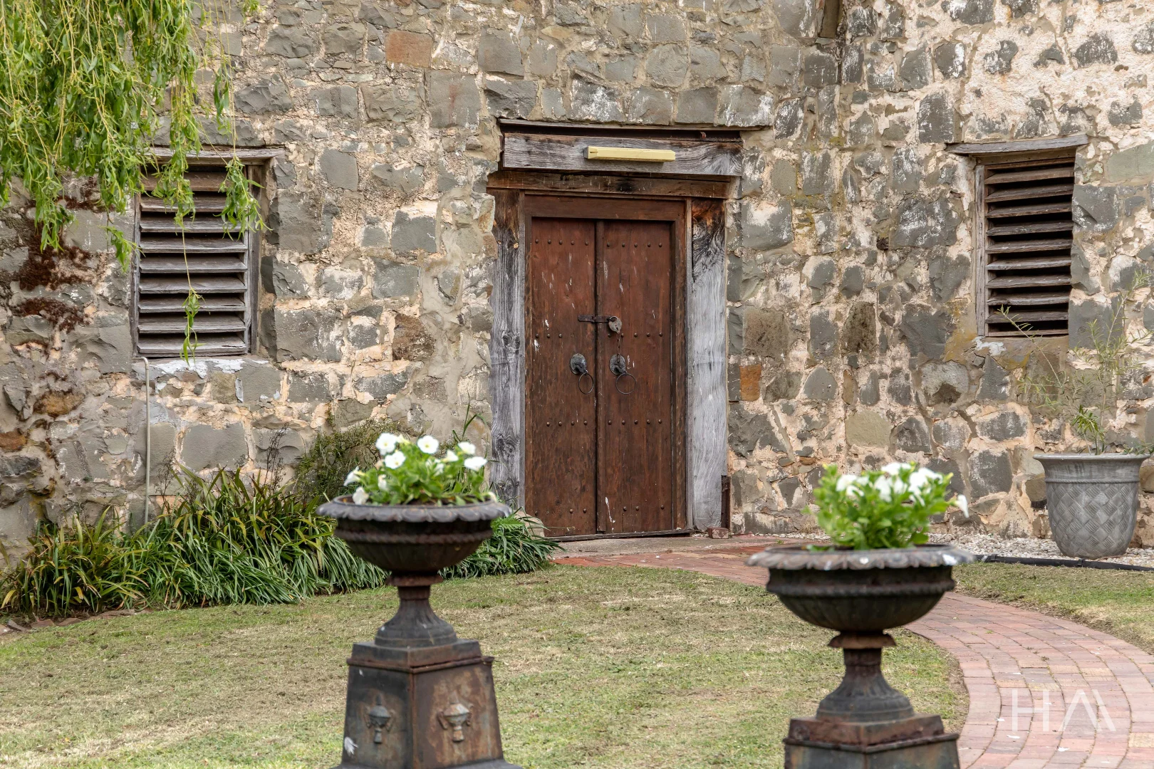 Image 15