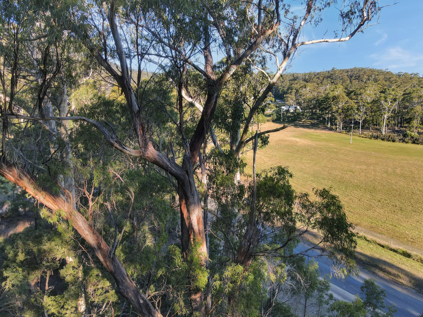 Additional image 12 of 577 Elephant Pass Road, Gray TAS 7215