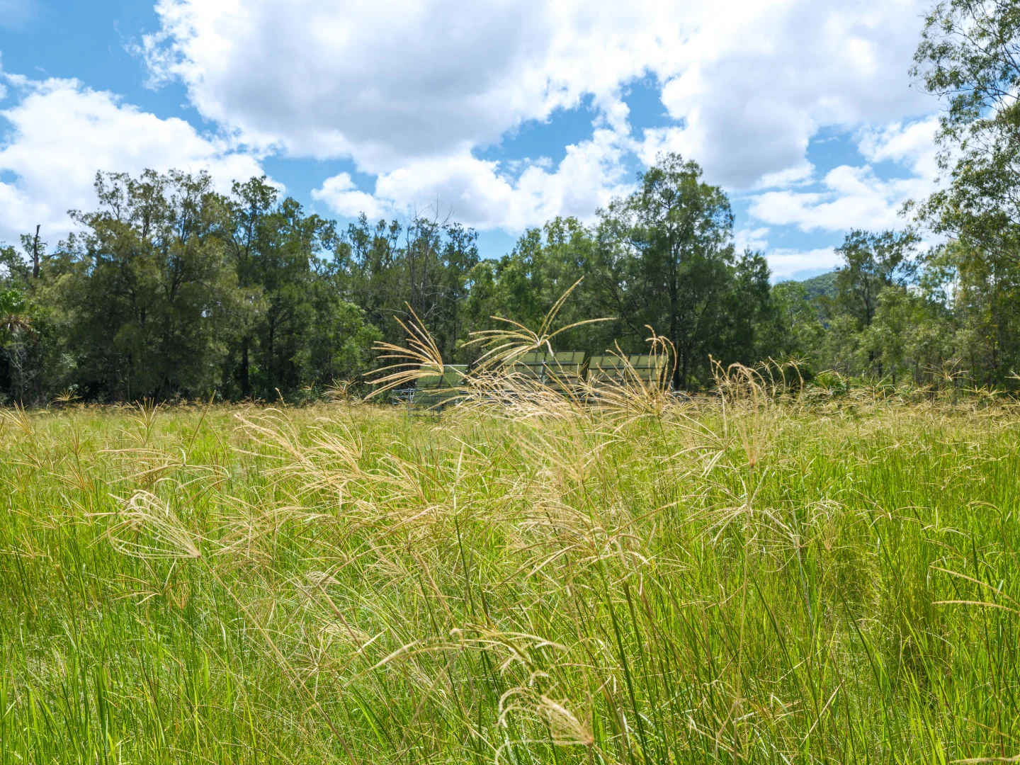 Additional image 16 of Widgee QLD 4570