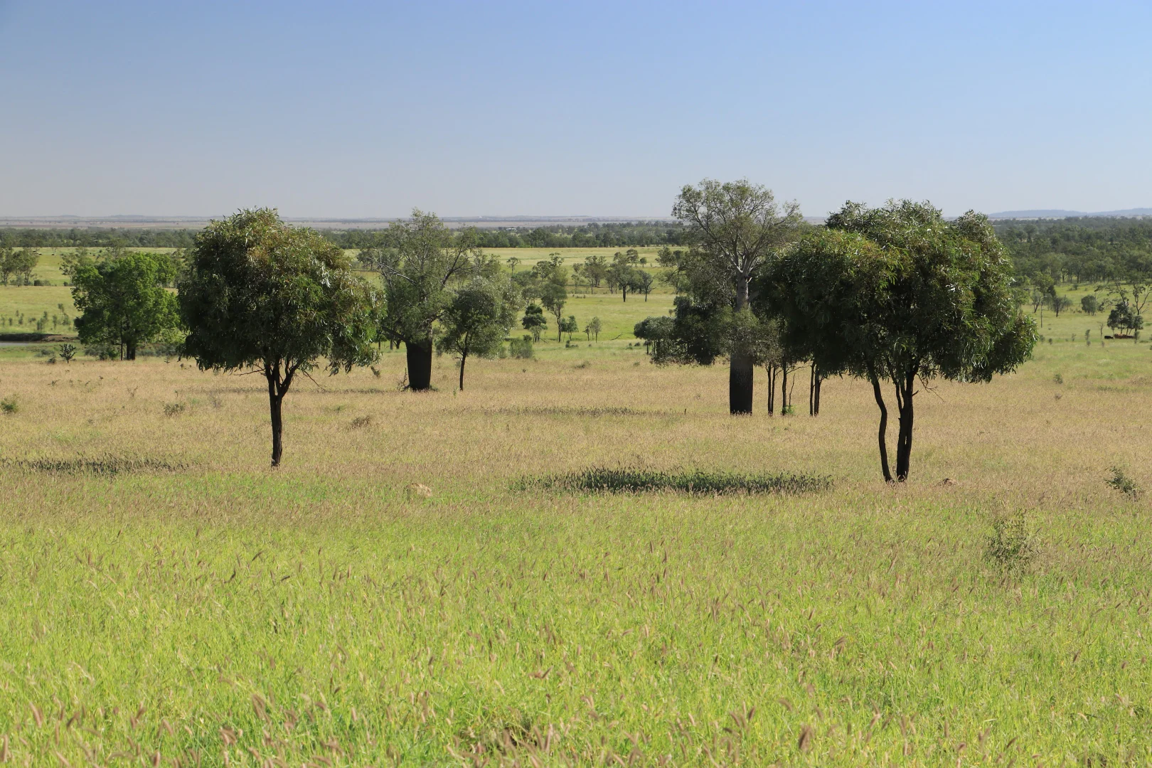 Additional image 21 of Roma QLD 4455