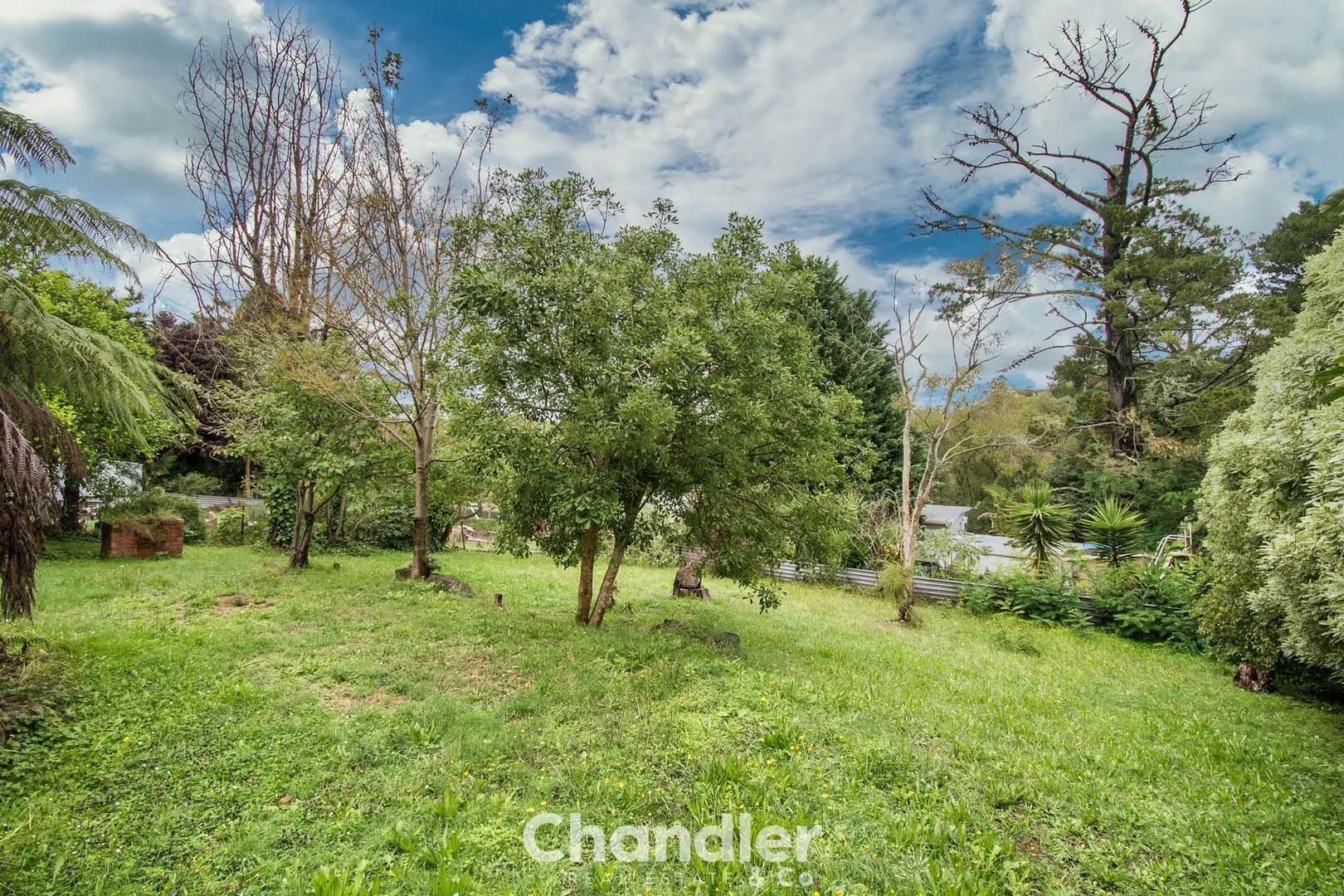 Image 12