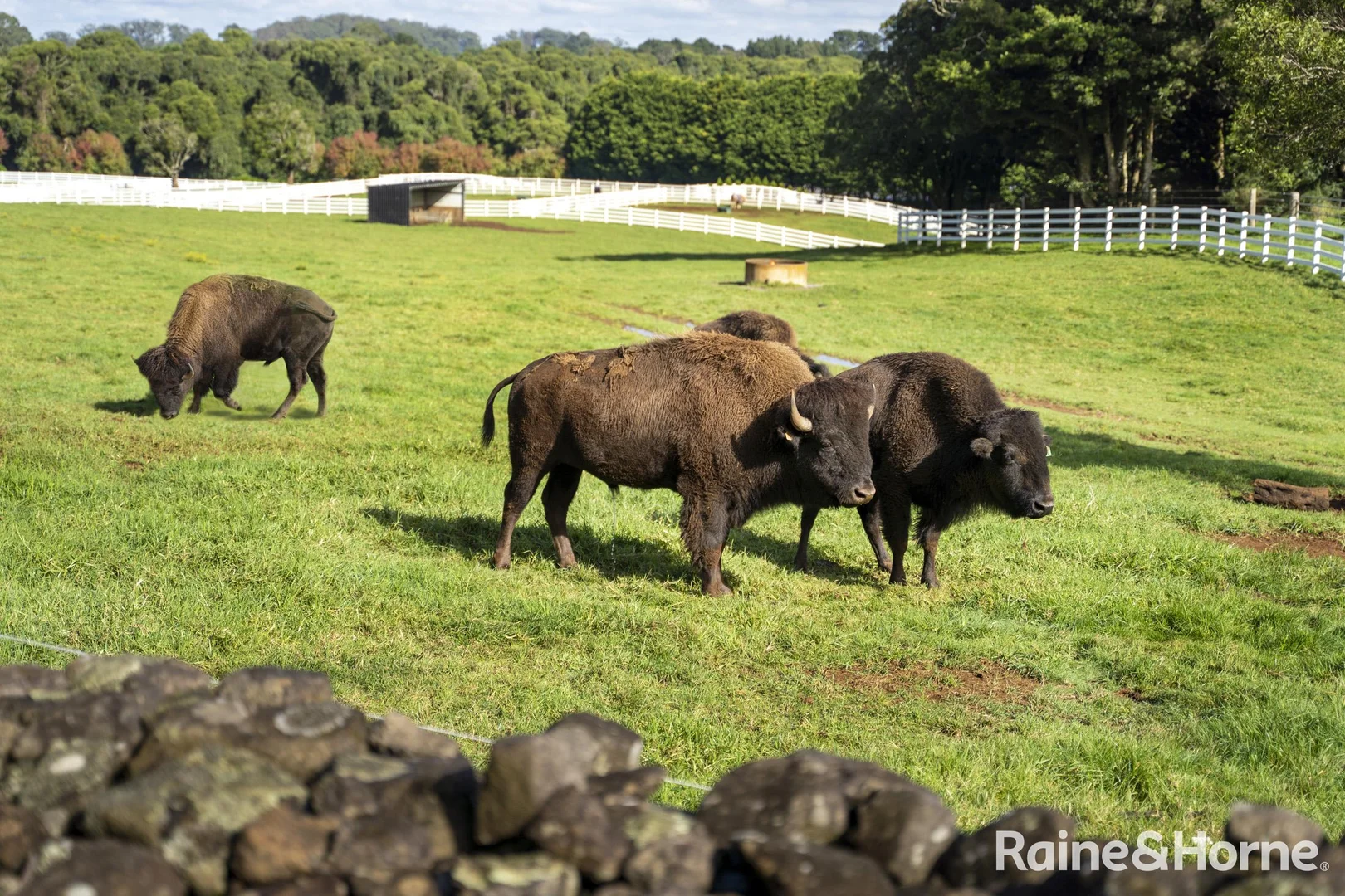 Additional image 18 of 101 Pearsons Lane, Robertson NSW 2577
