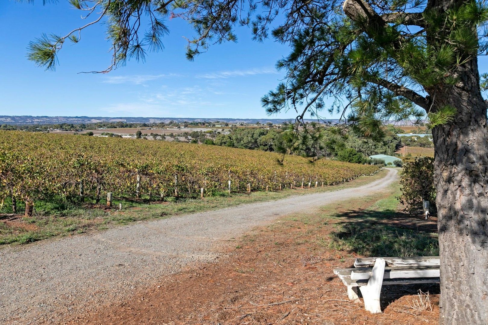 Lot 31 Victor Harbour Road, McLaren Vale SA 5171, Image 1