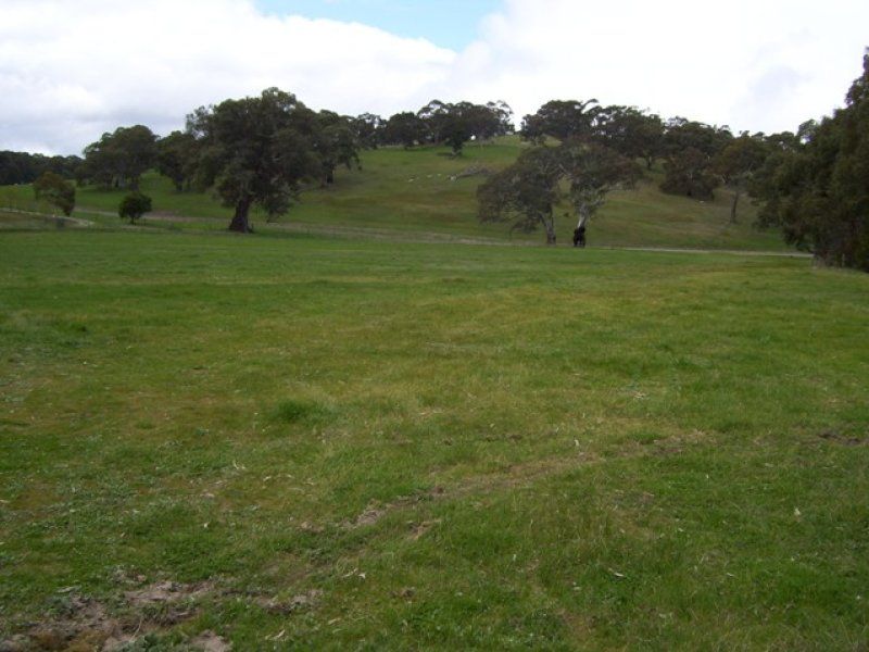 35/Lot 35 Mount Torrens To Tungkillo Road, Tungkillo SA 5236, Image 1