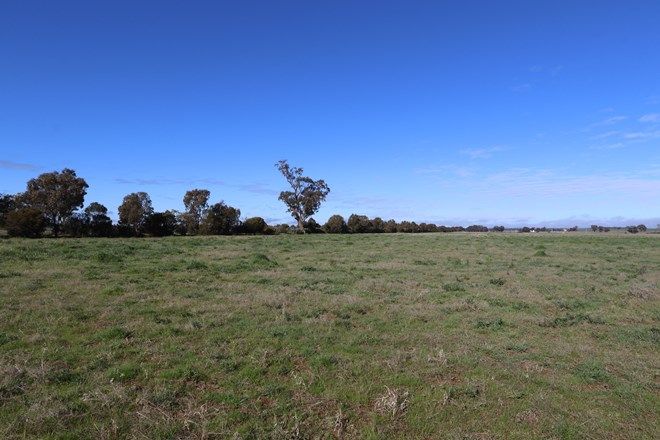 82 Real Estate Properties For Sale In Berry Jerry Nsw 2701 Domain