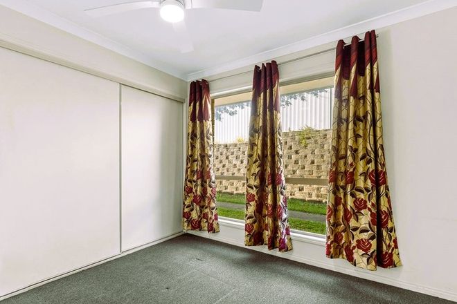 43 Glenside street Wavell Heights 4012 - Image 6