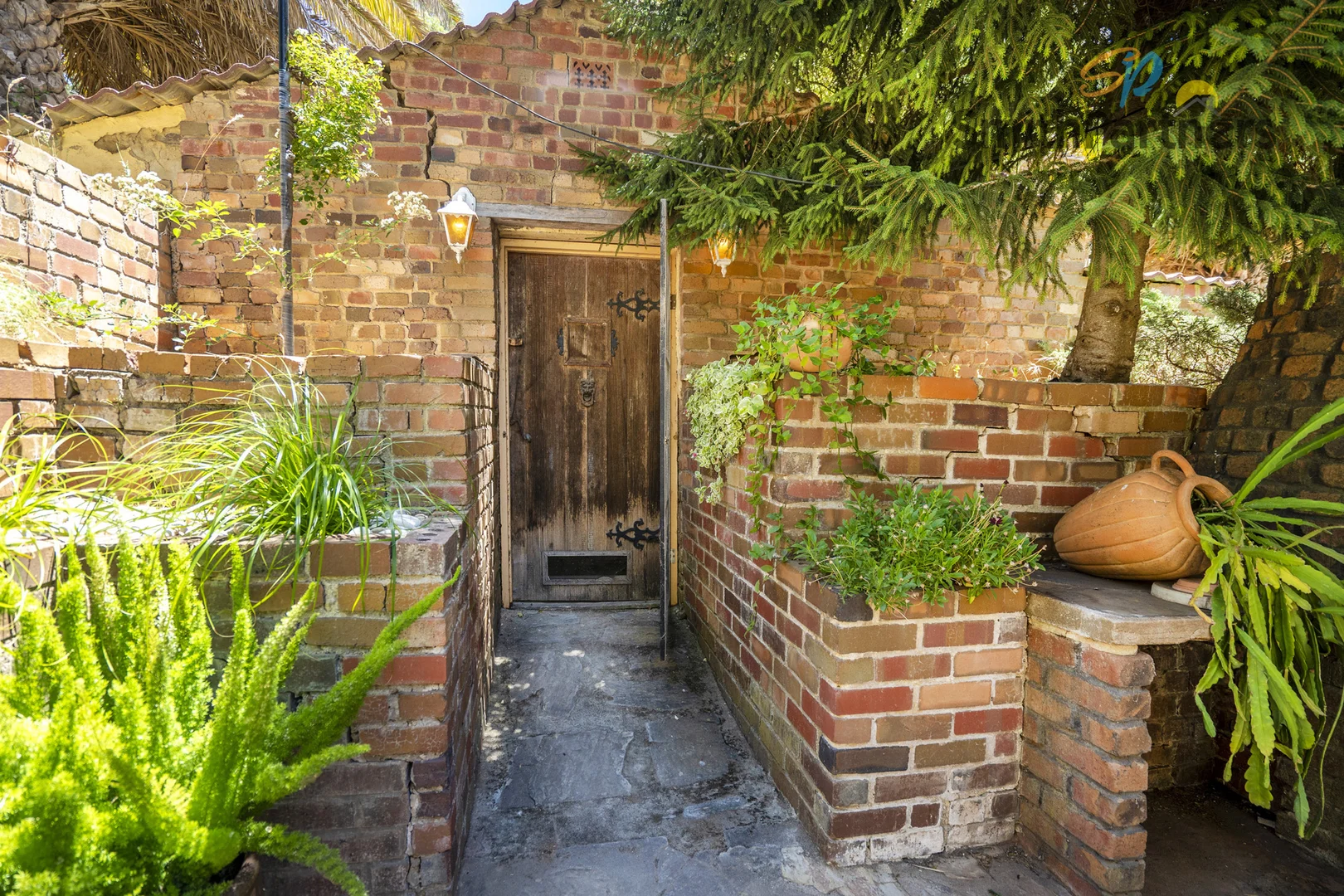 Image 20