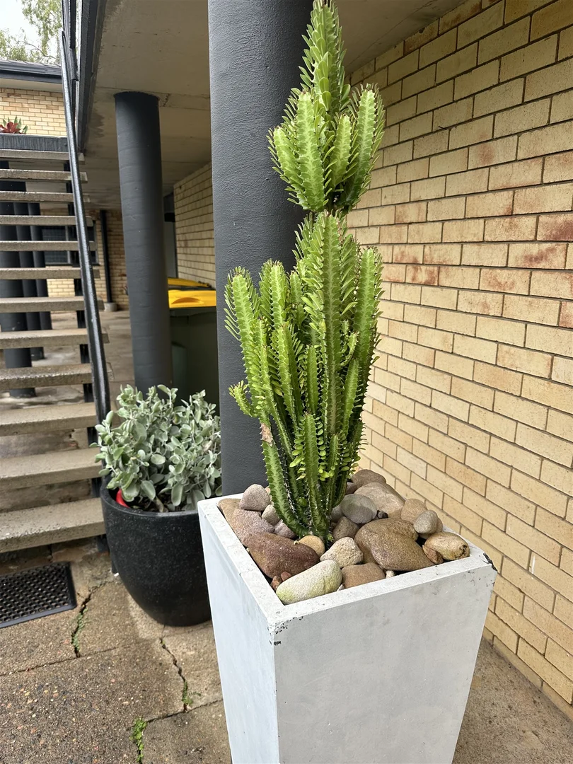 Additional image 9 of 158 Riding Road, Balmoral QLD 4171