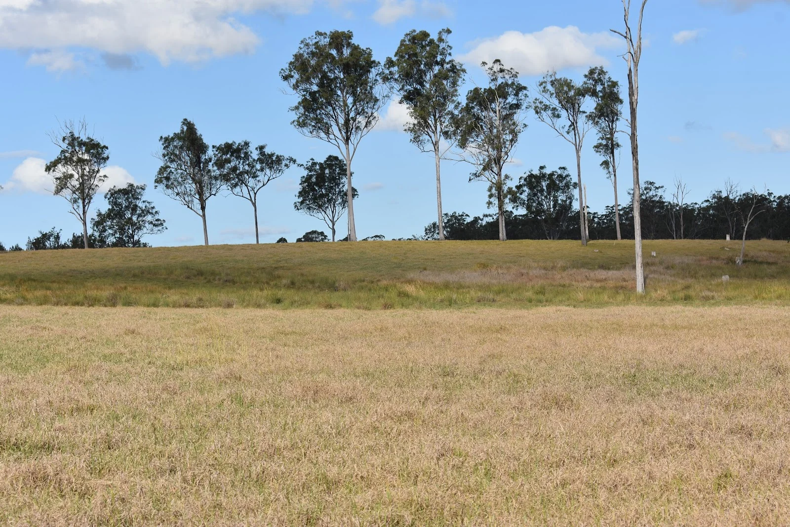 Image 13