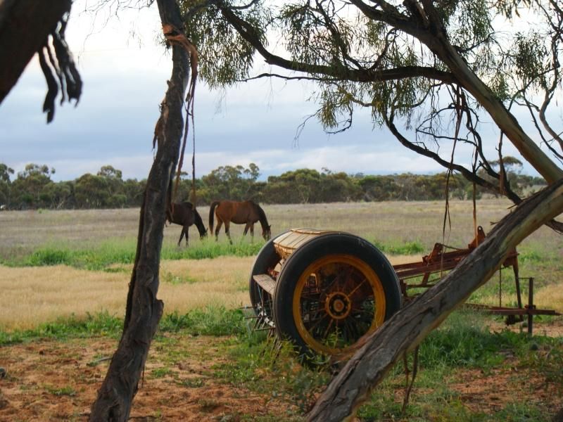 Sec 472 Mannum Road, MURRAY BRIDGE SA 5253, Image 0