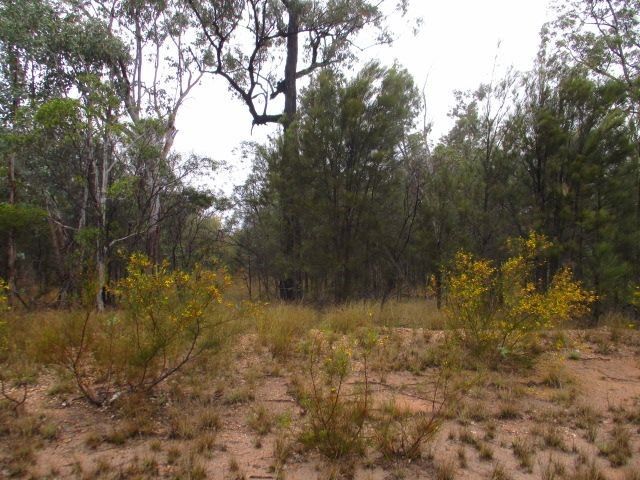 Bennetts School Road, Tara QLD 4421, Image 1