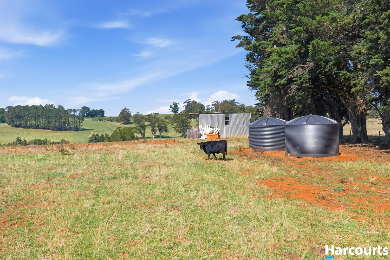 Additional image 23 of 8 Stubbers Lane, Mirboo North VIC 3871