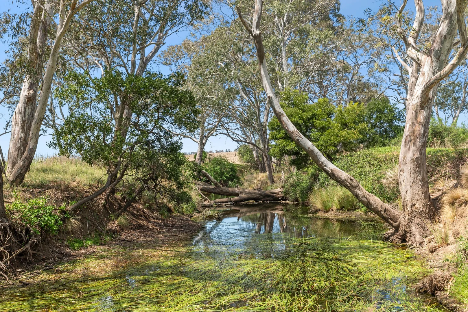 Image 13