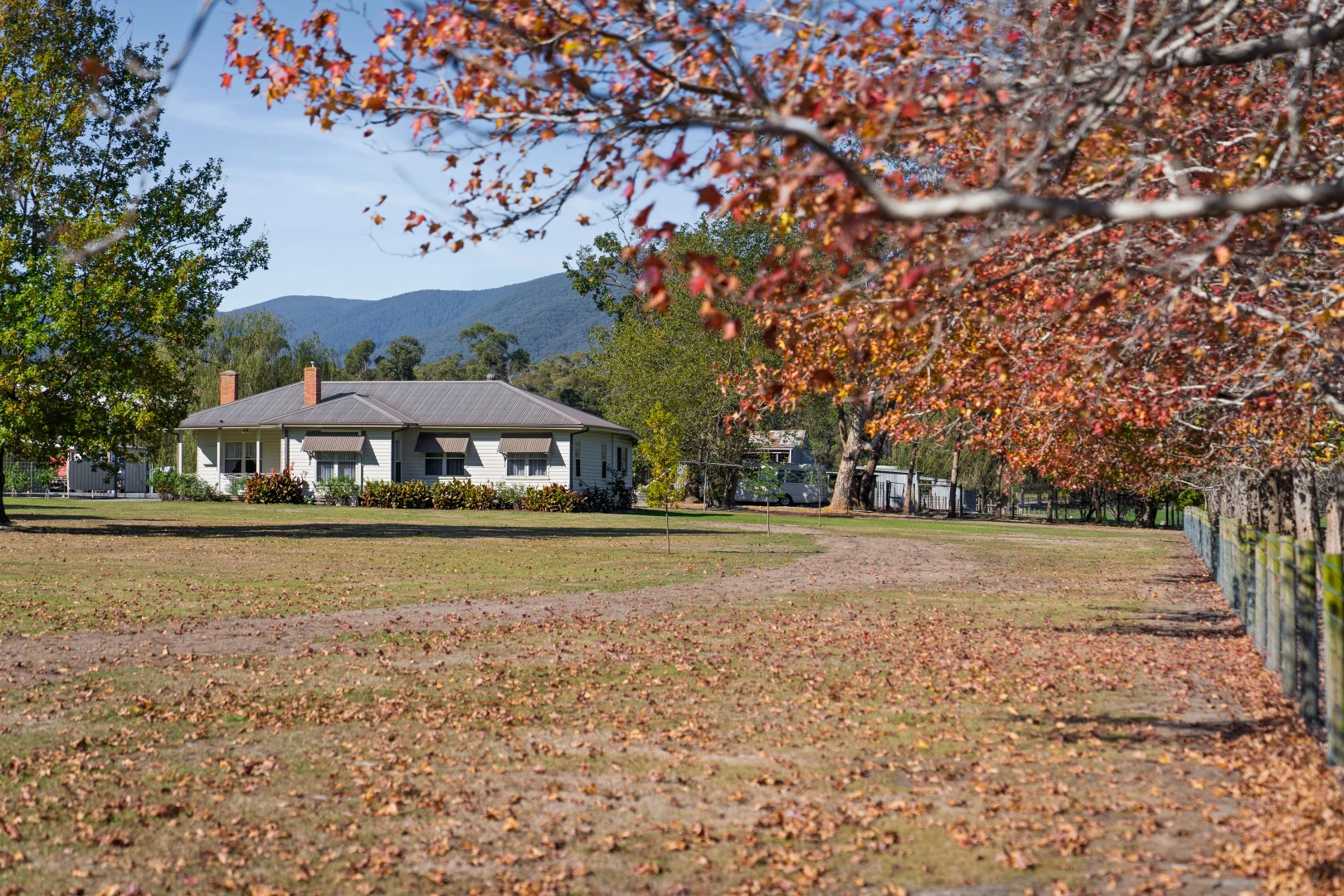 Image 15