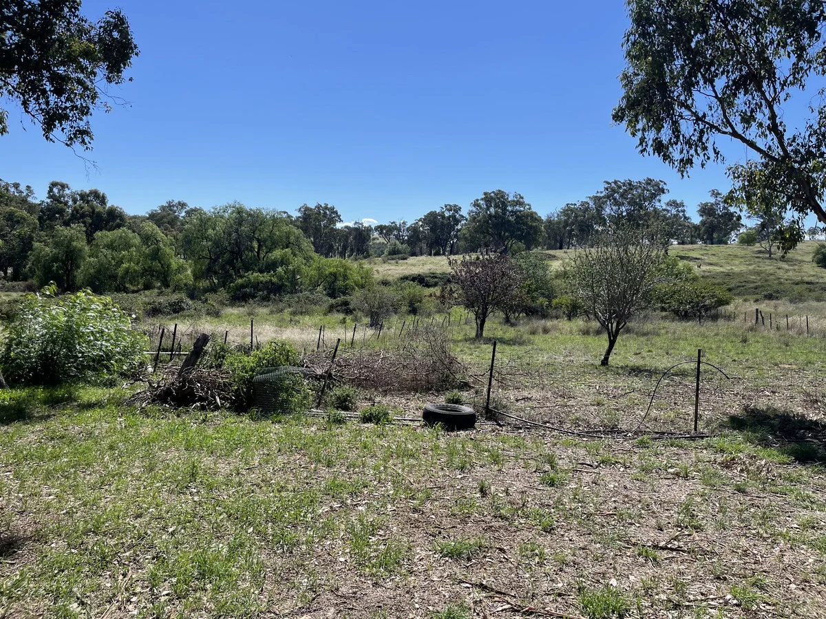 Additional image 14 of Lot 1 Noyeau Street, Woodstock NSW 2793