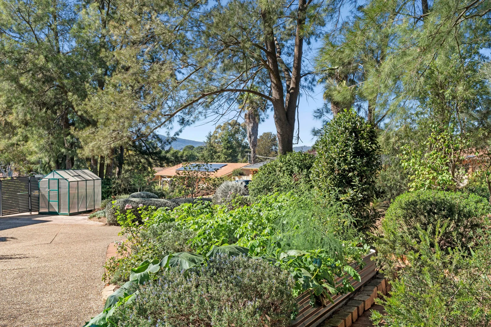 Image 20