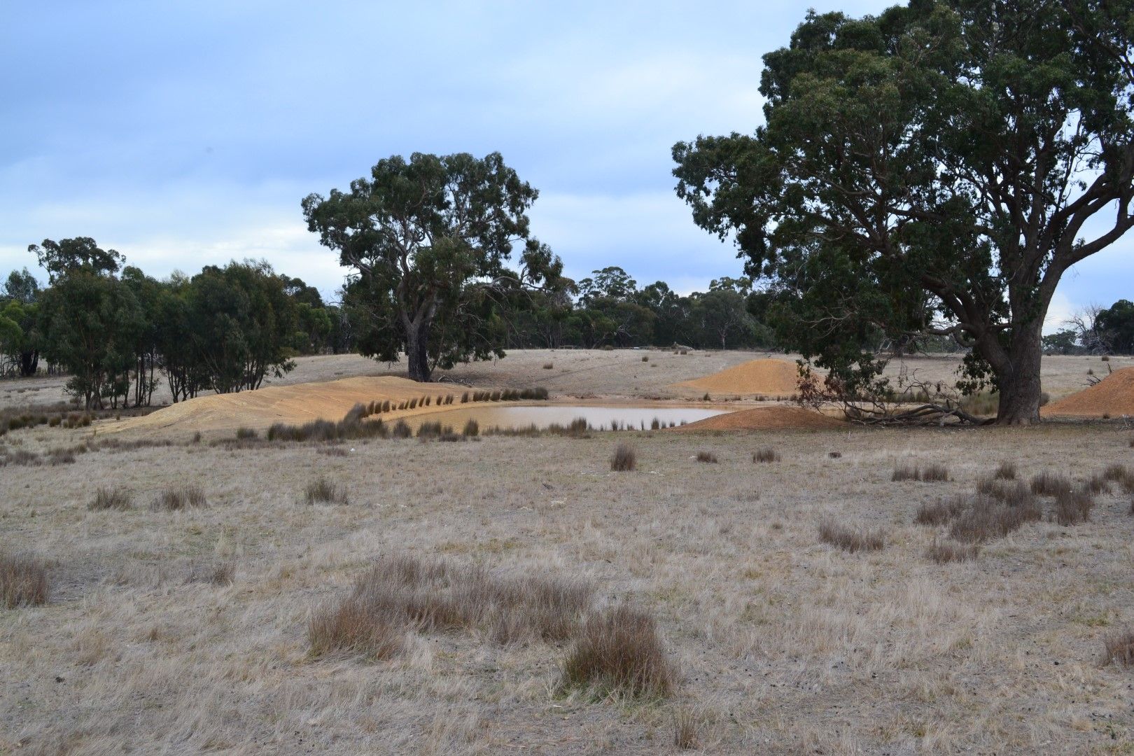 CA 48HB 250 Daisyburn Road, Glenaroua VIC 3764, Image 1