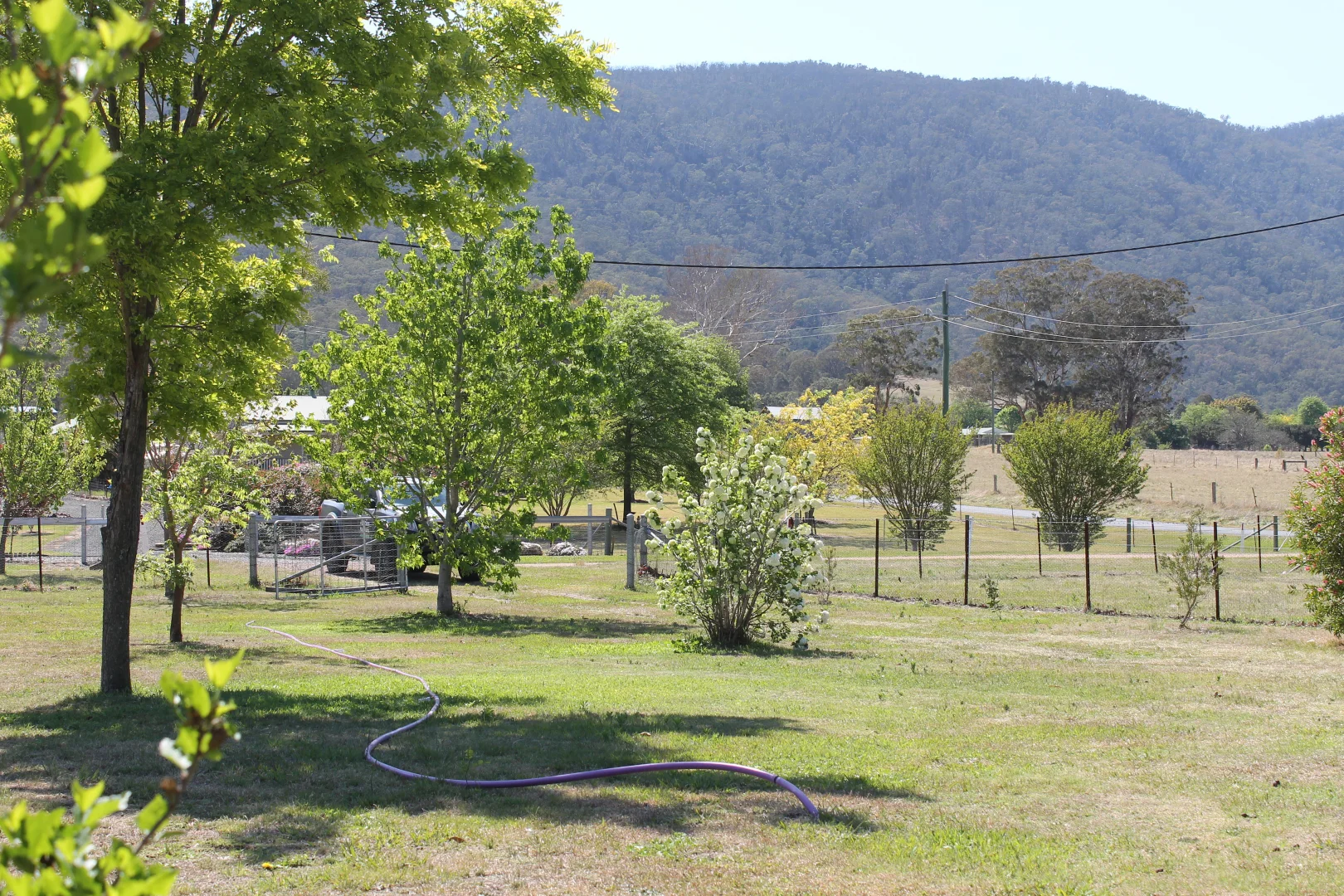 Image 20