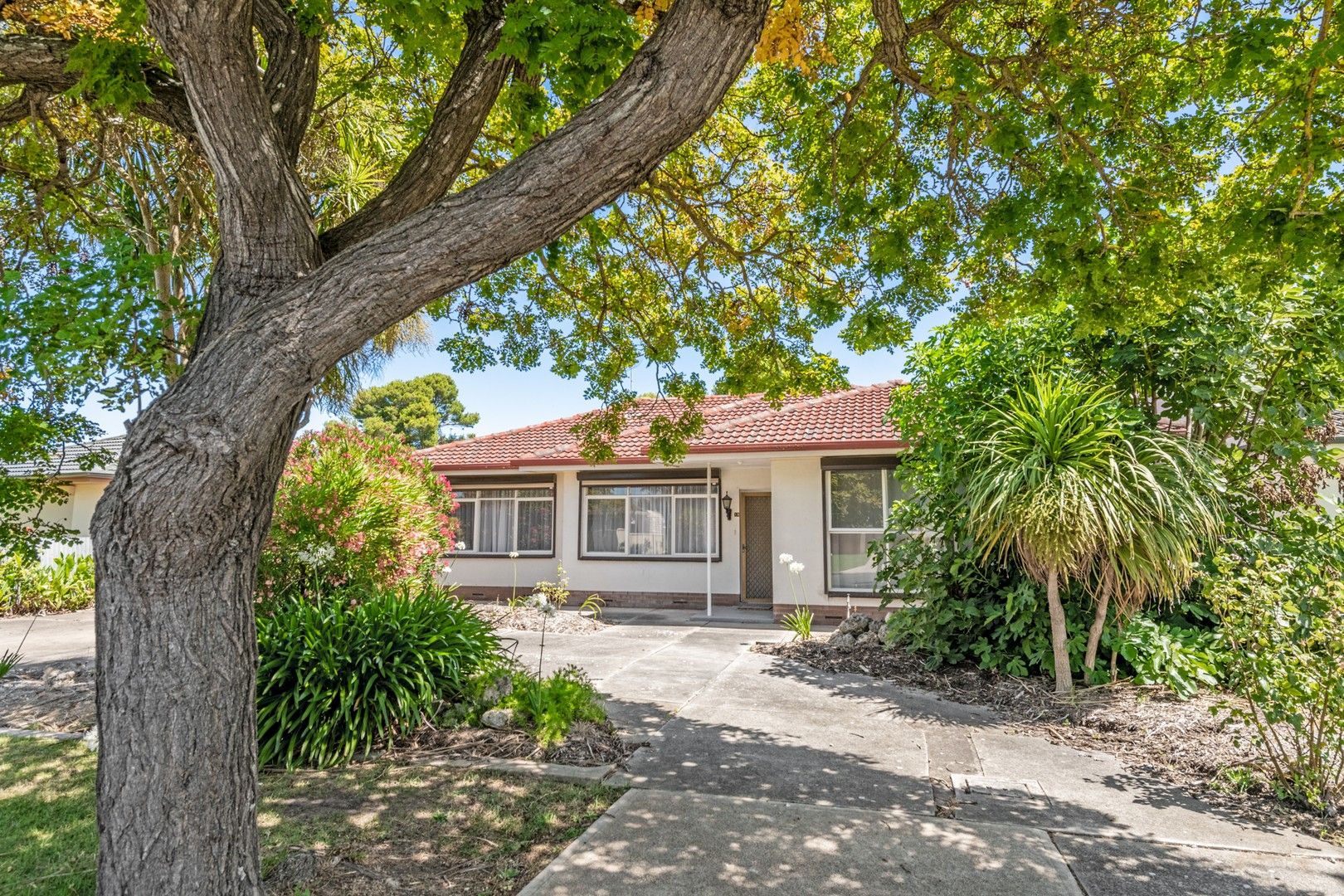 12 English Drive, Millicent SA 5280, Image 0