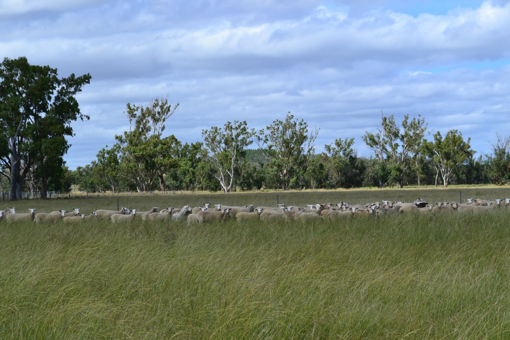 Cobbadamana Road, Inglewood QLD 4387, Image 1