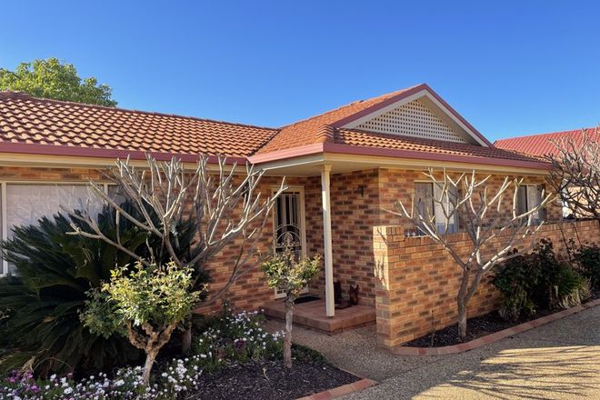 Picture of 1/3 Worfolk Place, GRIFFITH NSW 2680