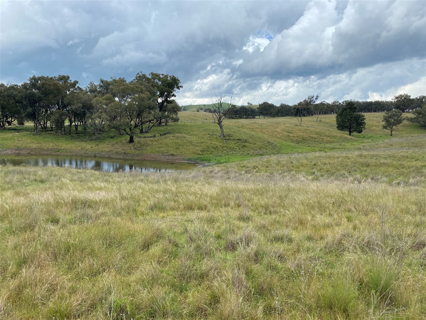 Lot 65 379 Windeyer Rd, Grattai, Mudgee NSW 2850, Image 1