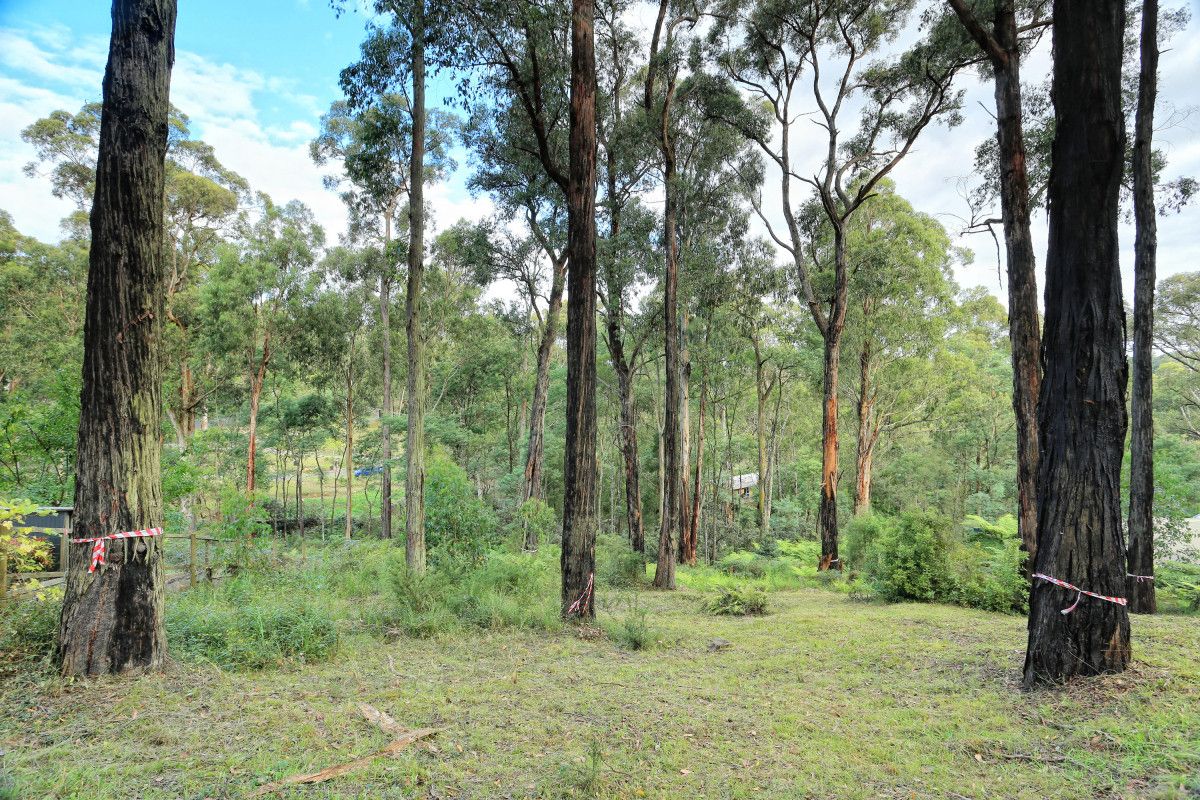 37 Mountain Road, Cockatoo VIC 3781, Image 2