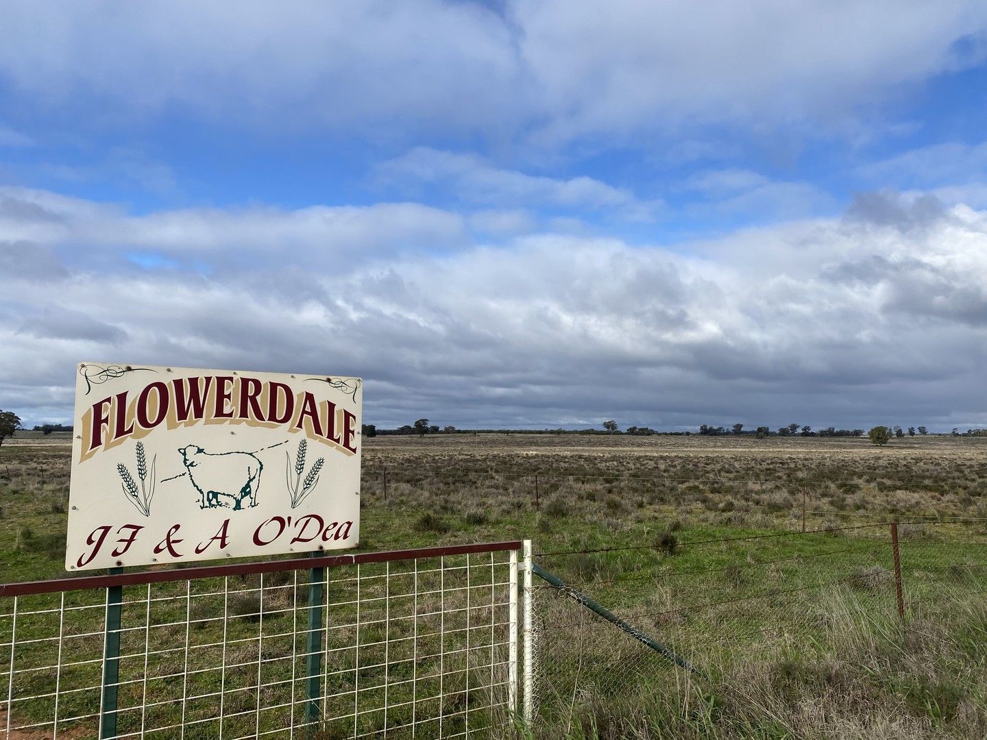 Flowerdale 1344 Yambora Road, Tullamore NSW 2874 Farm for Sale